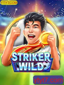 Descubra o Mundo Empolgante de StrikerWILD